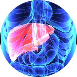 Natural supplements for diabetes type